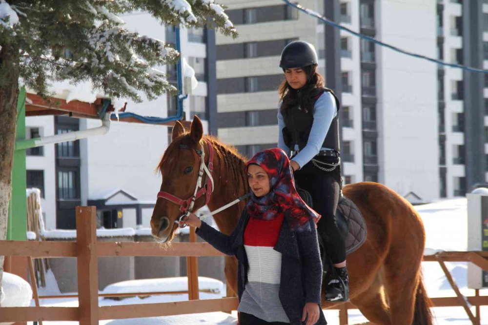 ’Yapamazsın’ dediler hırs yaptı Elazığ’ın tek kadın seyisi oldu