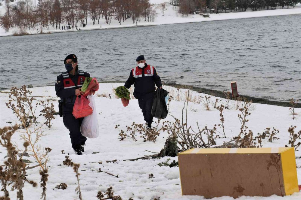 Tavşan Adası’nın uzun kulaklı sakinleri jandarma tarafından besleniyor