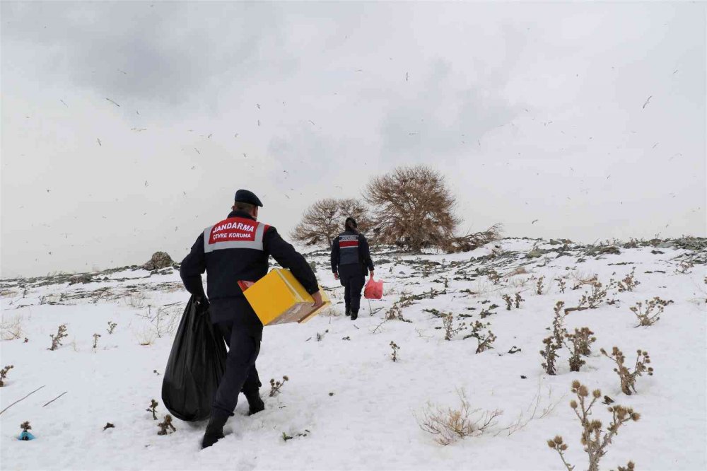 Tavşan Adası’nın uzun kulaklı sakinleri jandarma tarafından besleniyor