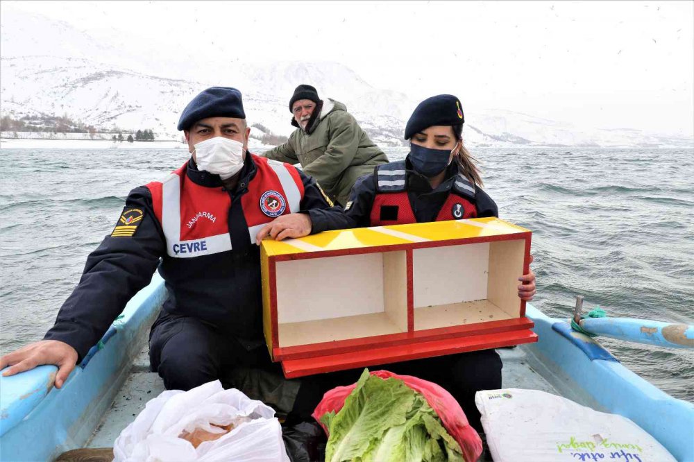 Tavşan Adası’nın uzun kulaklı sakinleri jandarma tarafından besleniyor