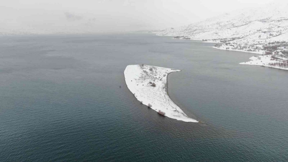 Tavşan Adası’nın uzun kulaklı sakinleri jandarma tarafından besleniyor