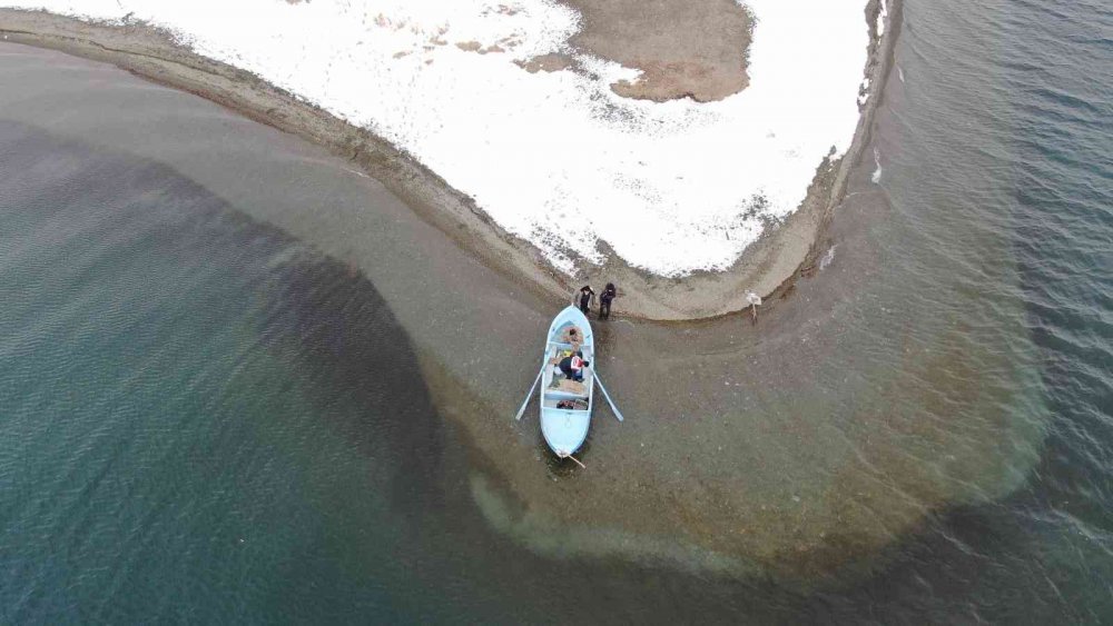 Tavşan Adası’nın uzun kulaklı sakinleri jandarma tarafından besleniyor