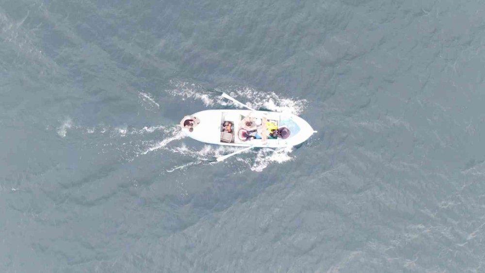 Tavşan Adası’nın uzun kulaklı sakinleri jandarma tarafından besleniyor