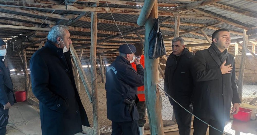 Evin çatısı biriken kar nedeniyle çöktü