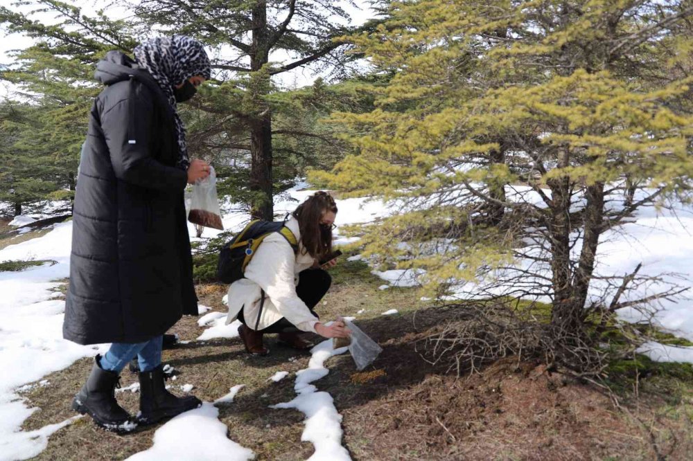 Yabancı uyruklu öğrenciler hayvanlar için doğaya yem bıraktı