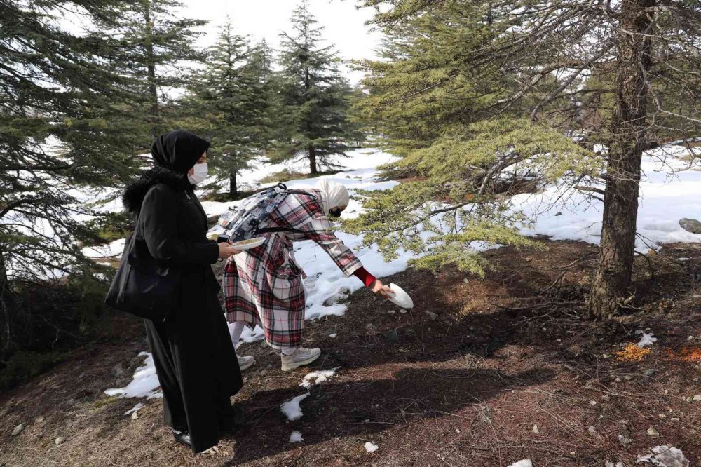 Yabancı uyruklu öğrenciler hayvanlar için doğaya yem bıraktı