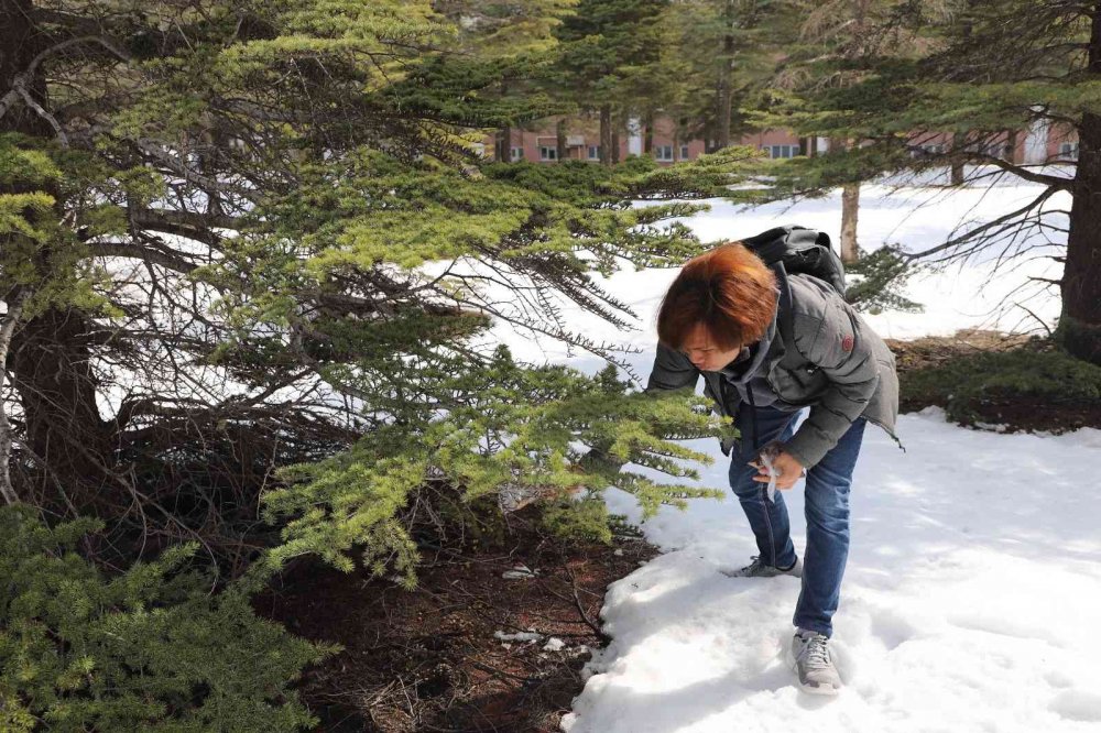 Yabancı uyruklu öğrenciler hayvanlar için doğaya yem bıraktı