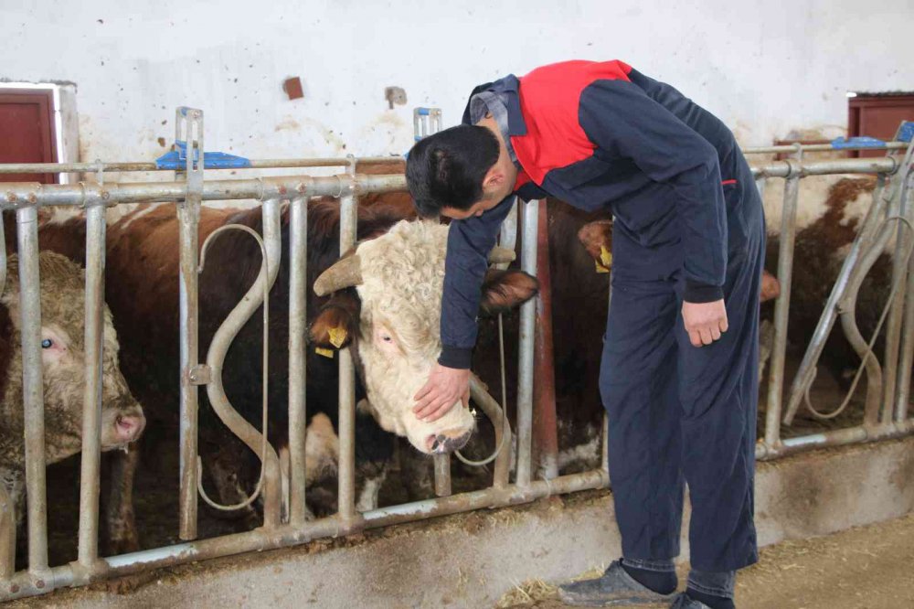 Devletten aldığı destek ile köye dönüp çiftlik kurdu