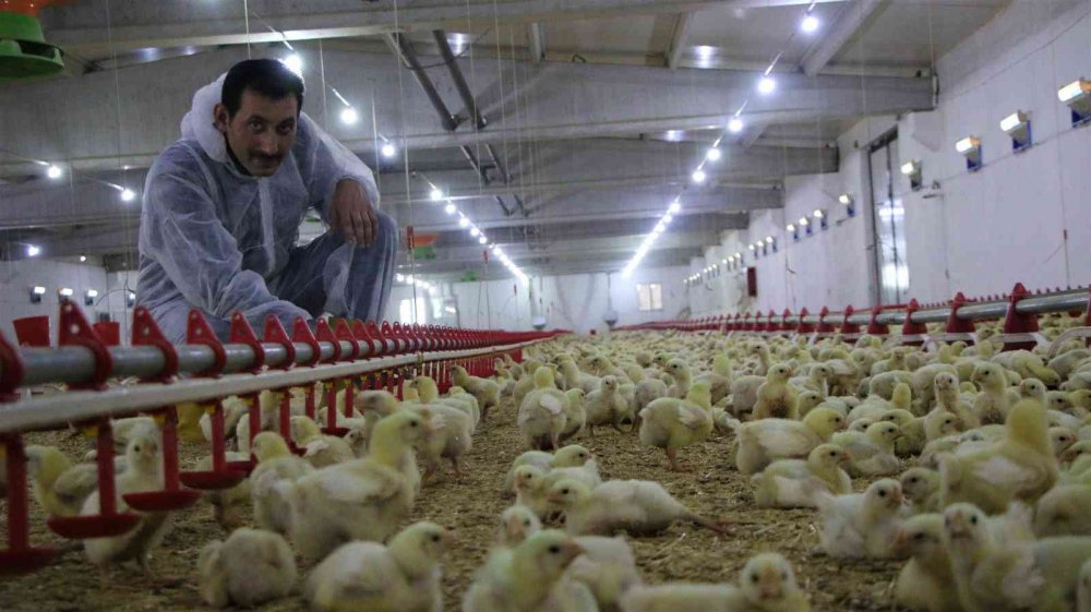 Devletten aldığı destek ile köye dönüp çiftlik kurdu