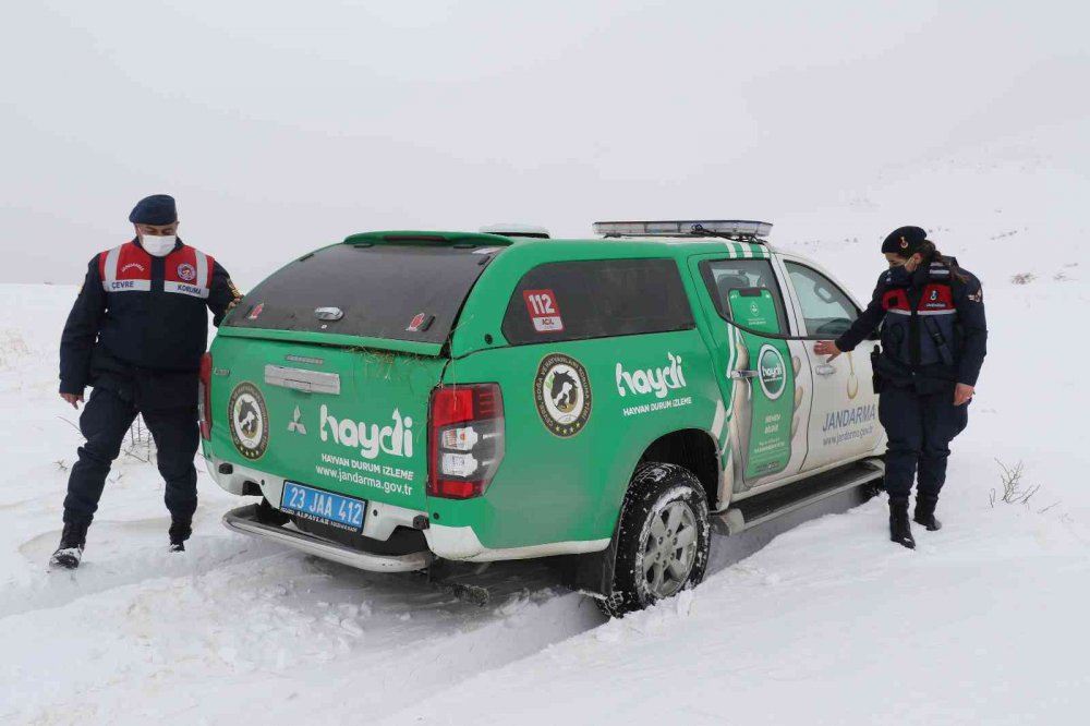 JAK ve HAYDİ ekipleri yaban hayatı için seferber oldu