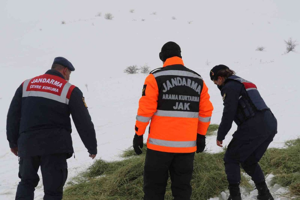 JAK ve HAYDİ ekipleri yaban hayatı için seferber oldu