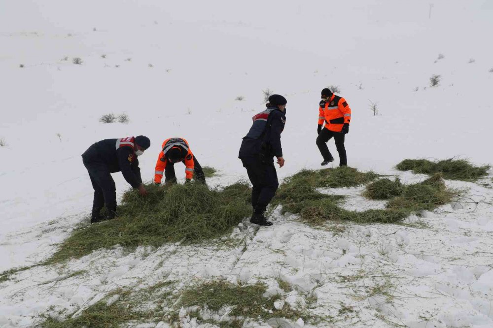 JAK ve HAYDİ ekipleri yaban hayatı için seferber oldu