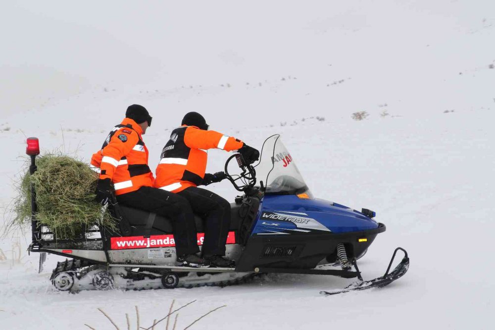 JAK ve HAYDİ ekipleri yaban hayatı için seferber oldu