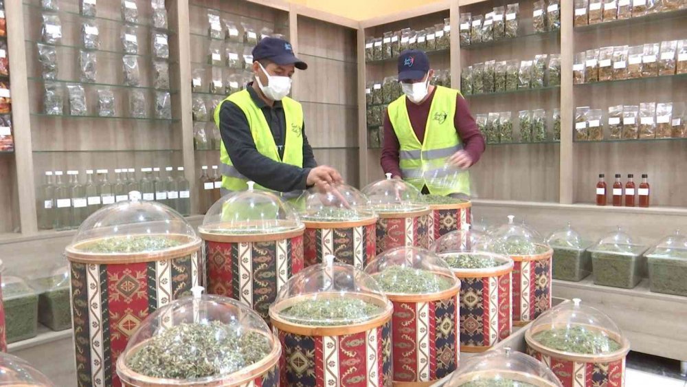 Ürettikleri bitki çayı ve sebze tohumlarını Cumhurbaşkanı Erdoğan’a gönderiliyorlar