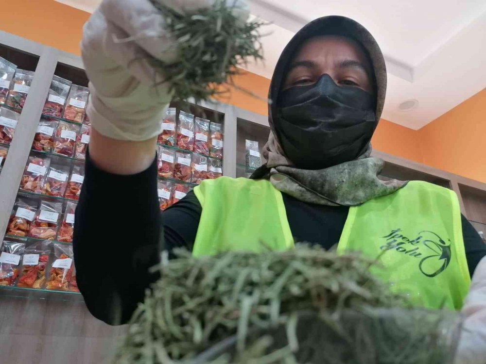 Ürettikleri bitki çayı ve sebze tohumlarını Cumhurbaşkanı Erdoğan’a gönderiliyorlar