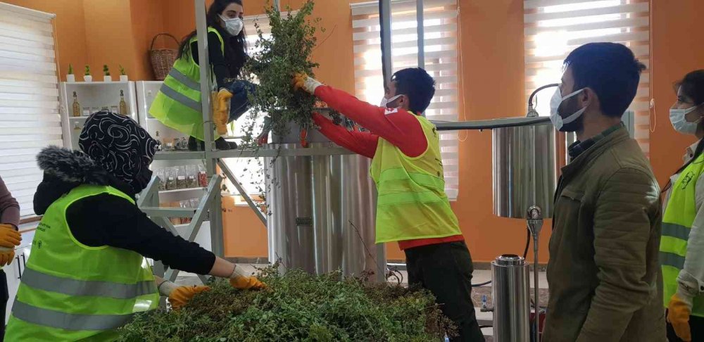 Ürettikleri bitki çayı ve sebze tohumlarını Cumhurbaşkanı Erdoğan’a gönderiliyorlar