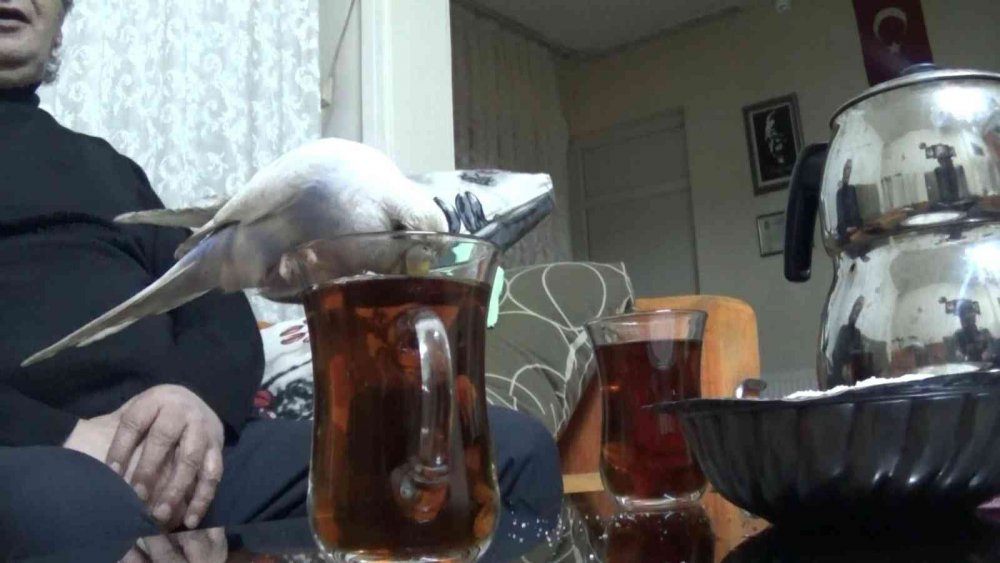 Bu çayın tiryakisi bir başka