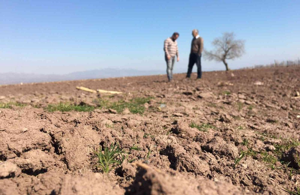 Risk alarak baraj sahasını eken çiftçileri ’Yağış’ endişesi sardı