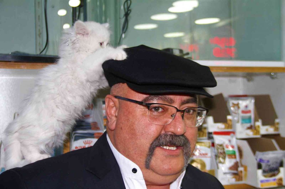 Yavru kediyle görüntüleri gülümsetmişti, her gün gidip kediyle vakit geçiriyor