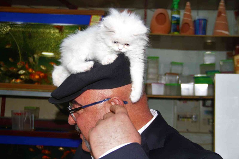 Yavru kediyle görüntüleri gülümsetmişti, her gün gidip kediyle vakit geçiriyor