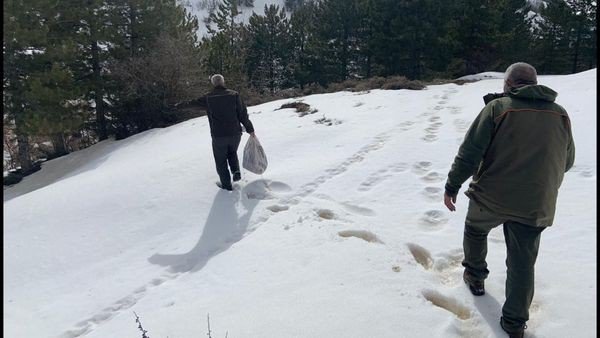 Elazığ’da yaban hayvanları için doğaya yem bırakıldı