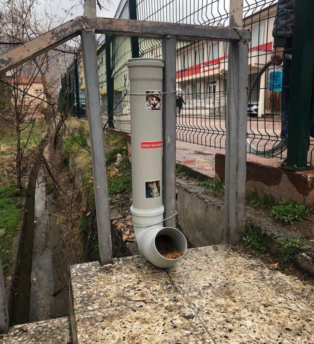 Keban Kaymakamlığı sokak hayvanlarını unutmadı