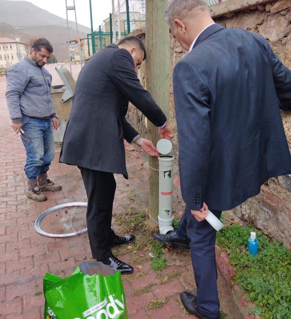 Keban Kaymakamlığı sokak hayvanlarını unutmadı