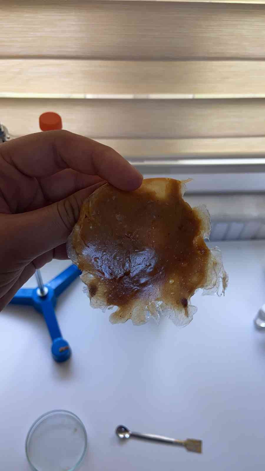 Doğada çözünerek bitkiye dönüşen plastik üretti