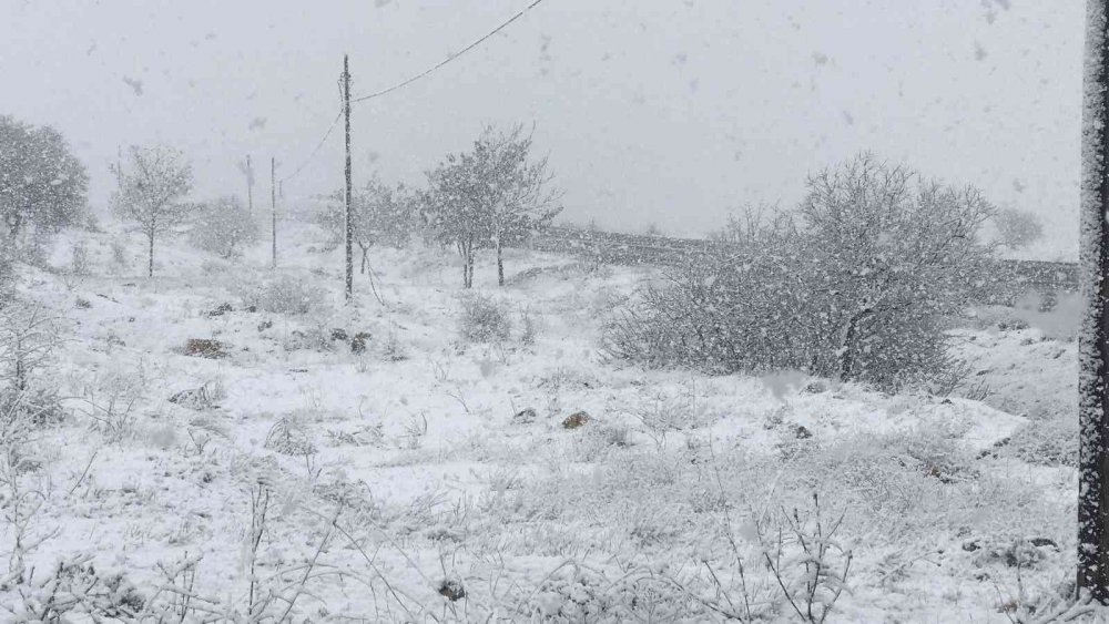 Elazığ’da kar yeniden başladı